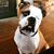 Kassie Davalos's profile image