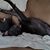 Alisha Cawthorn's profile image