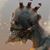 Zakary Long's profile image
