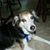 Philip Mahr's profile image