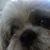 Dawn LaFreniere's profile image