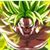 Joseph Chavez's profile image