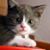 Katy Marie Martinez's profile image