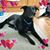 Tracie Baez's profile image