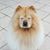 Johanna Fessel Bruner's profile image