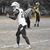 Susan Rosewarne's profile image