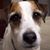 Arnold Anthony Schmidt's profile image