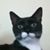 Linnie Buhman's profile image