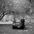 Jeanmarie Pauley Johnson's profile image