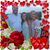 Roslyn Cooke's profile image