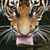 Beckey L Erickson's profile image