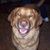 Sharon Calvin Heisten's profile image