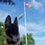 Chris Loughlin's profile image