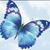 Lisa Marie Smith's profile image