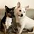 Shari Bitney's profile image