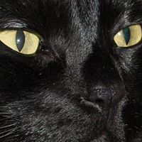 Barb Horton's profile image