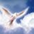 Carlos Rodriguez Jaramillo's profile image