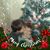 Carol S Plummer's profile image