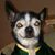 Jodi Peterson's profile image