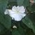 Denise Kruta's profile image