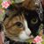 Anita Poole's profile image