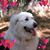 Minnie Sue Booker's profile image