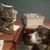 Debra Yagatich's profile image