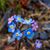 Anne Sasso's profile image