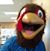 Mike Pancoast's profile image