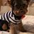 Marlo Massaro's profile image