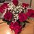 Donna Kinser's profile image