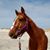 Janice Lalmond Hagan's profile image