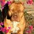 Dorene Ann Beal's profile image