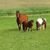 Wendy L. DeGreef's profile image