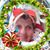 Charline Levesque's profile image