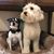 Shelley Baltz's profile image