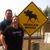Angie Irvin McAnally's profile image