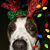 Dory Minkel McIntosh's profile image
