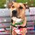Vicki Herd's profile image
