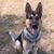 Pam Kent Reuther's profile image