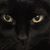 Marcia Forsblad's profile image
