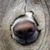 Veronna Kiracofe Drane's profile image