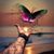 Mary Maestas's profile image