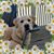 Jamie Neely Clay's profile image