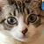 Toni Helser's profile image