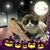 Jacqueline Acke's profile image