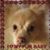 Darlene Gross Clark's profile image