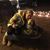 Melanie Harper Richison's profile image