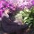 Rodney Donaldson's profile image