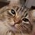 Kathy Lundgren's profile image